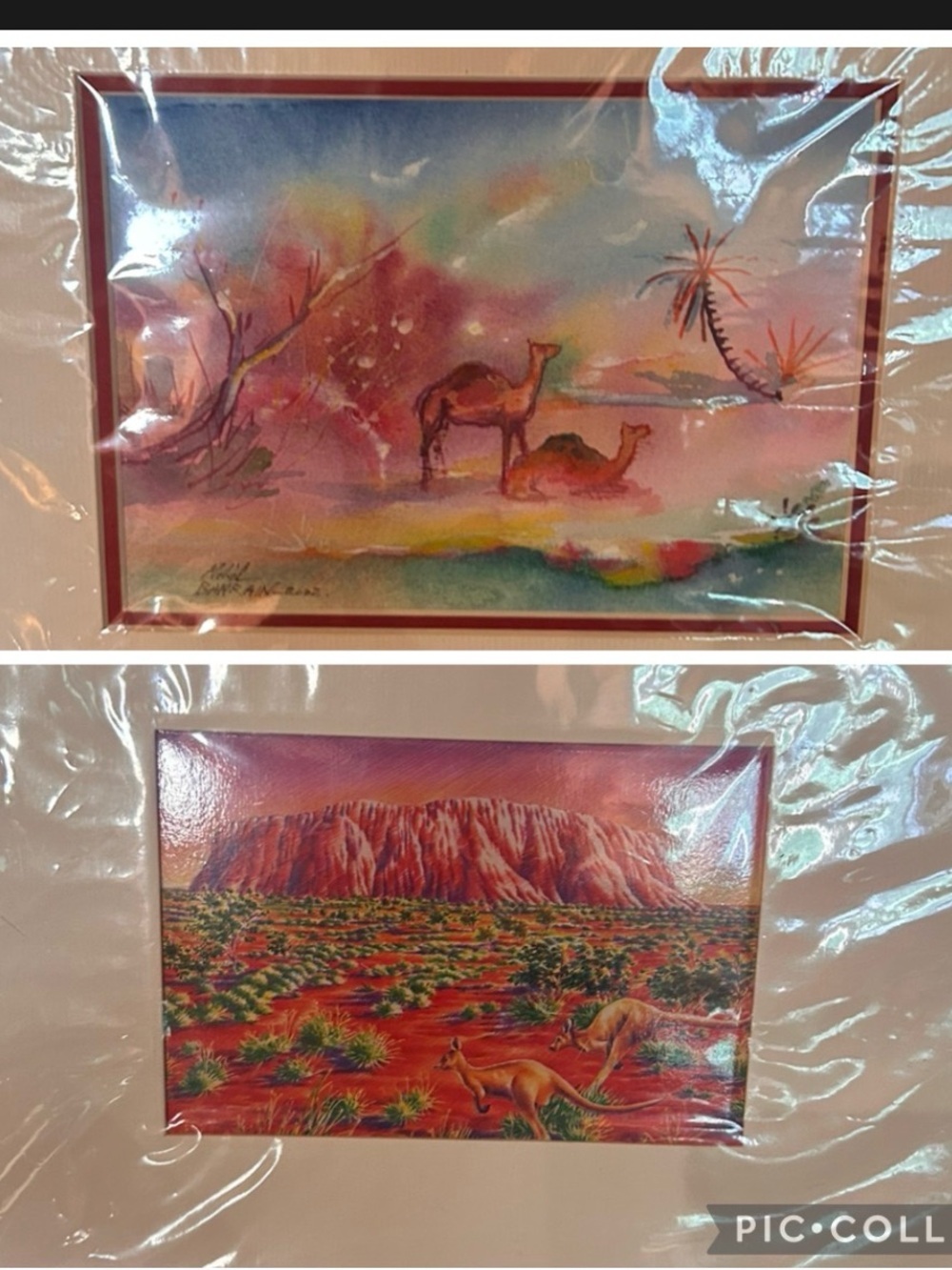 Desert Camel & Outback Landscape Art Prints - Multicolor